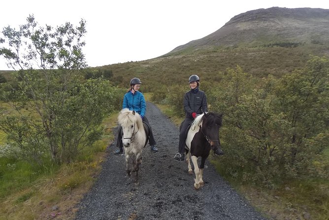 1+ hour Private Horse riding tour from Reykjavík/Mosfellsbær - Key points at a glance