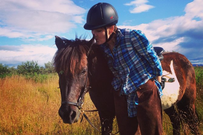 1+ hour Private Horse riding tour from Reykjavík/Mosfellsbær - Learning the Icelandic way to ride