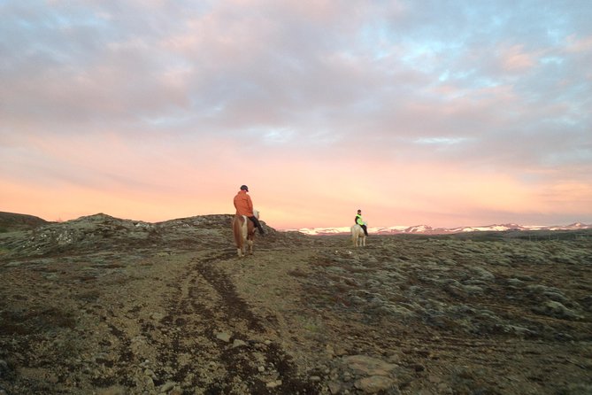 1+ hour Private Horse riding tour from Reykjavík/Mosfellsbær - Guides who make the difference