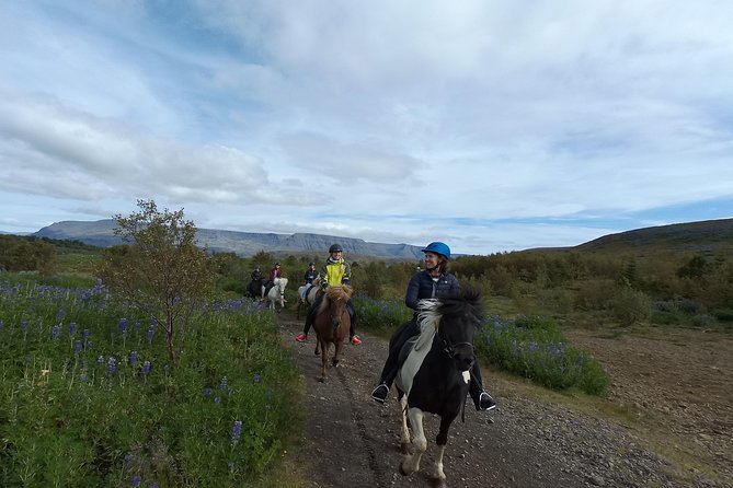 1+ hour Private Horse riding tour from Reykjavík/Mosfellsbær - Riding toward Mt. Úlfarsfell