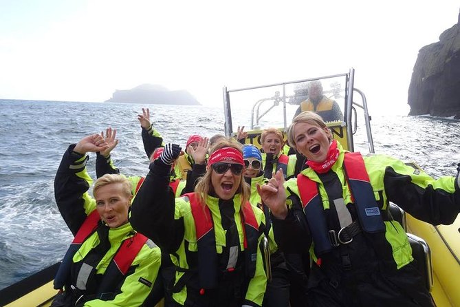 1-Hour Small Group Sightseeing Boat Tour in Vestmannaeyjar - A fast introduction to Vestmannaeyjar by sea