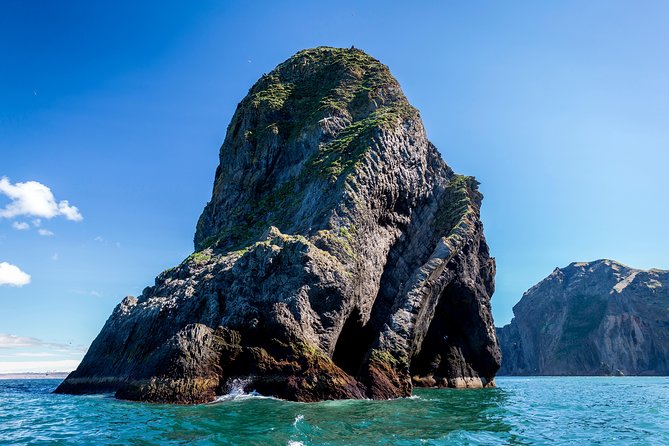 1-Hour Small Group Sightseeing Boat Tour in Vestmannaeyjar - Is $169.31 a fair price?