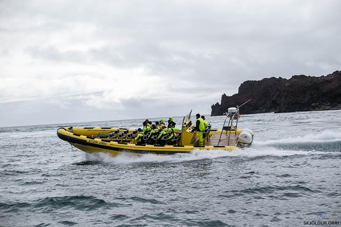 1-Hour Small Group Sightseeing Boat Tour in Vestmannaeyjar - My verdict: book it for the ride, not just the wildlife