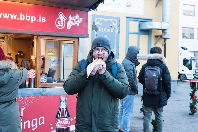 2-Hour Reykjavik Private Walking Tour - Starting at your own downtown address