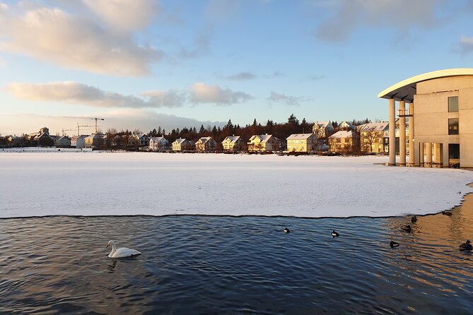 2-Hour Reykjavik Private Walking Tour - Parliament, Dómkirkjan, and Iceland’s public life