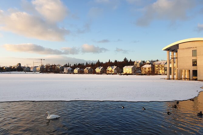 2-Hour Reykjavik Private Walking Tour - City Hall and Lake Tjornin
