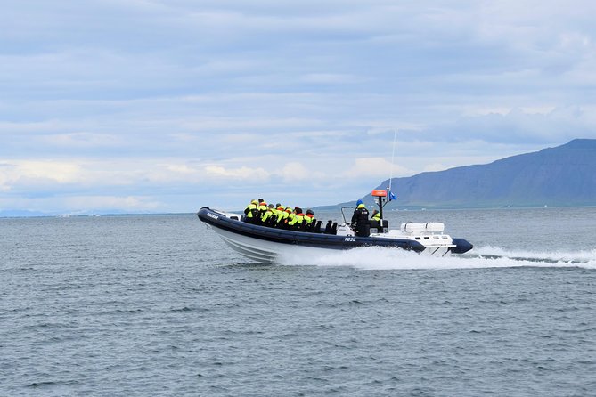 2-Hour RIB Boat Whale Watching Tour from Reykjavik - Searching for Humpbacks, Minkes, Dolphins, and Porpoises