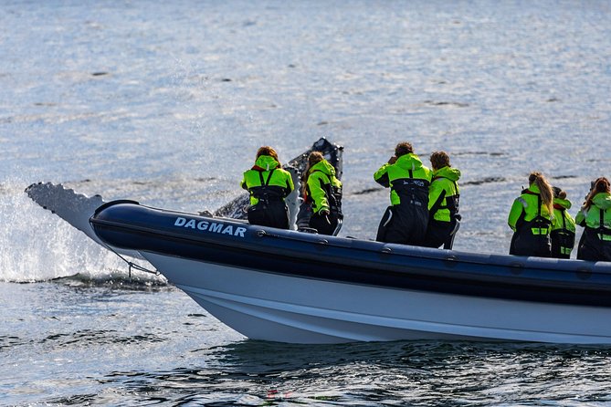 2-Hour RIB Boat Whale Watching Tour from Reykjavik - Is $189.87 a Fair Price?