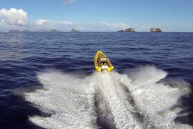 2 hour Round Trip in Vestmannaeyjar on a RIB Boat - Key points to know before you book