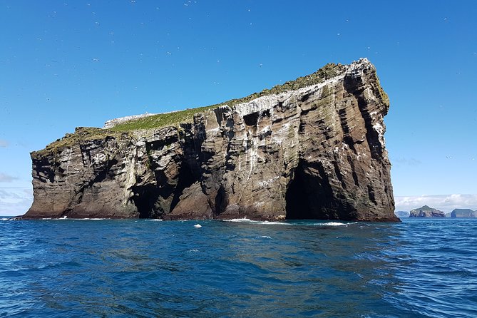 2 hour Round Trip in Vestmannaeyjar on a RIB Boat - Is $247.39 a fair price for two hours?