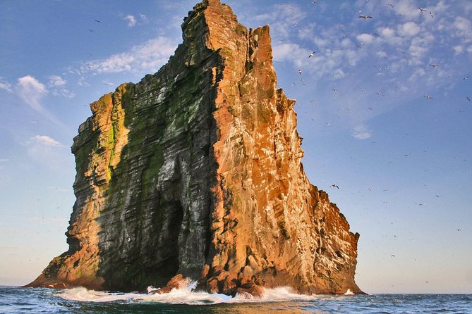 2 hour Round Trip in Vestmannaeyjar on a RIB Boat - Starting at Tangagata 7 in Vestmannaeyjabær