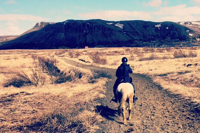 2 hours Private Horse Riding to Lake Hafravatn, Reykjavík - Mos - Why Lake Hafravatn Is a Good Ride from Reykjavík