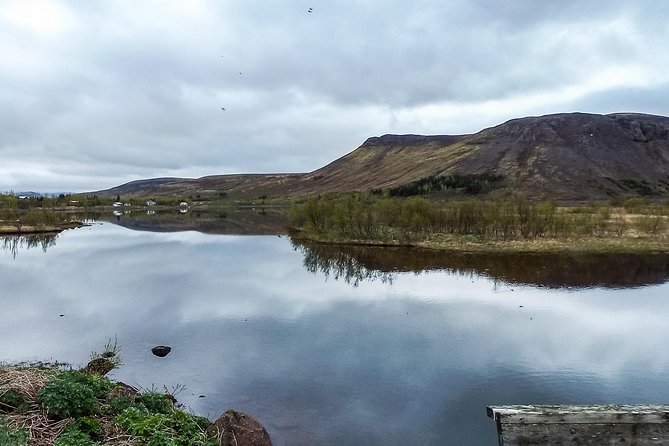 2 hours Private Horse Riding to Lake Hafravatn, Reykjavík - Mos - Meeting the Horses at the Stable