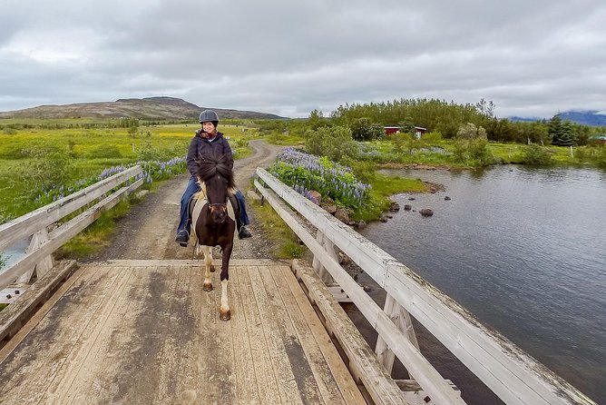 2 hours Private Horse Riding to Lake Hafravatn, Reykjavík - Mos - Is $210.26 Per Person Fair?