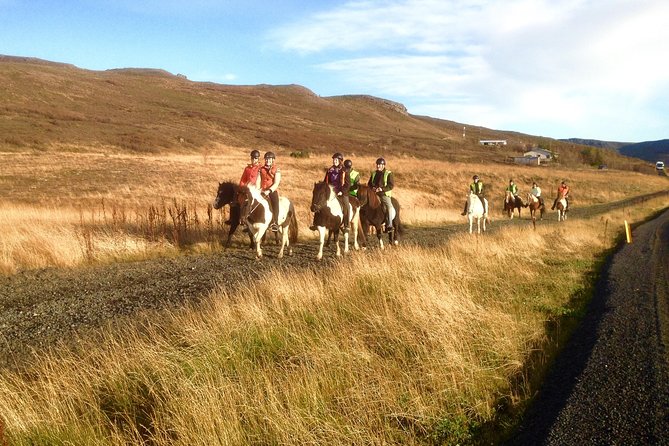 2 hours Private Horse Riding to Lake Hafravatn, Reykjavík - Mos - What to Wear and Bring