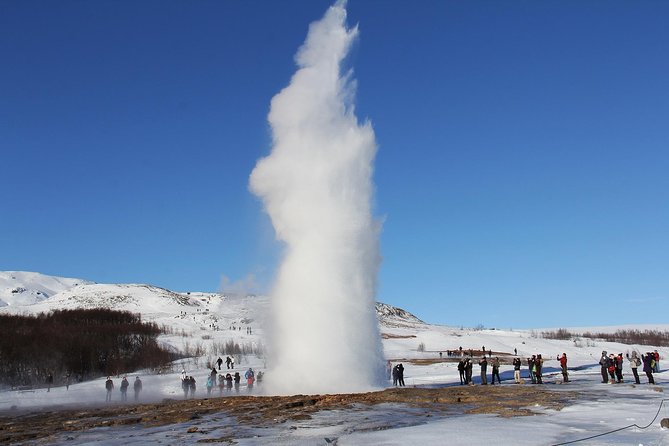 8-Day Small Group Tour Around Iceland from Reykjavik - Day 6: Whale watching and a volcanic crater