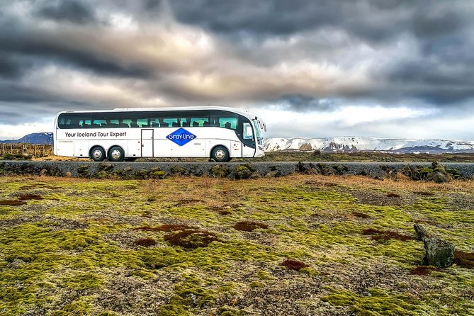 Airport Express Shared Departure Transfer from Reykjavik Hotels to Keflavik Airport - What the Reykjavik to Keflavik transfer actually involves