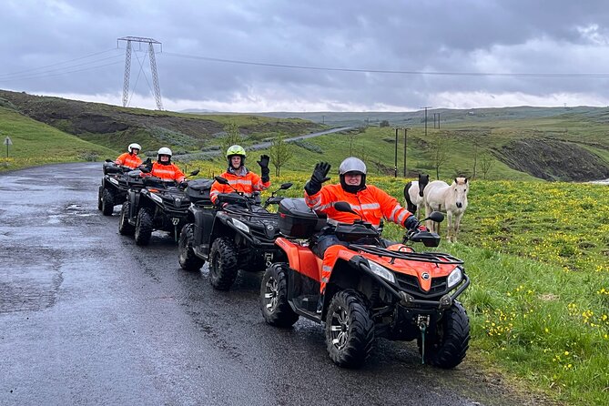 ATV Reykjavik Adventure and View - The views, photo stops, and possible wildlife