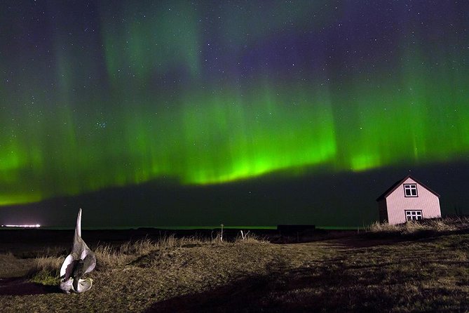 Blue Lagoon and Northern Lights Tour Including Admission - The awkward middle: Reykjavík between the two tours