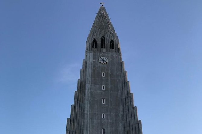 Blue Lagoon & Reykjavík Sightseeing - PRIVATE TOUR - What the private format really adds