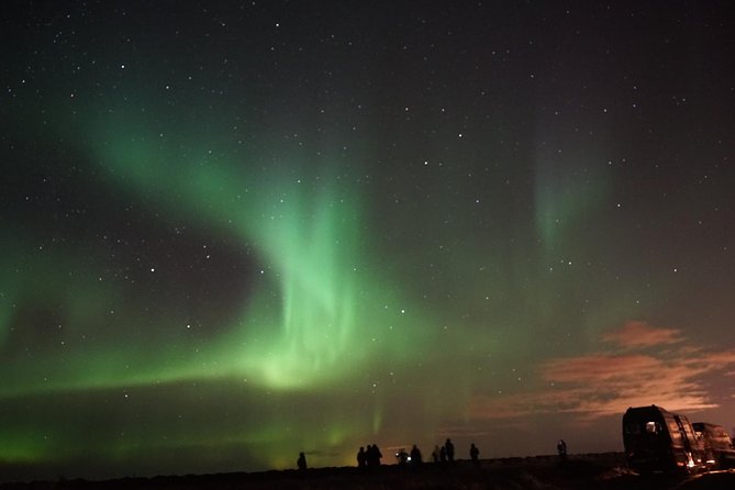 Chasing Aurora Borealis with Warmth and Treats in Premium Tour! - Hot chocolate, Icelandic pastries, and a warm minibus