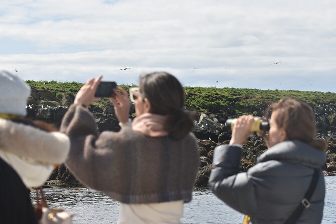 Classic Puffin Watching Cruise from Downtown Reykjavík - Watching puffins without leaving the boat