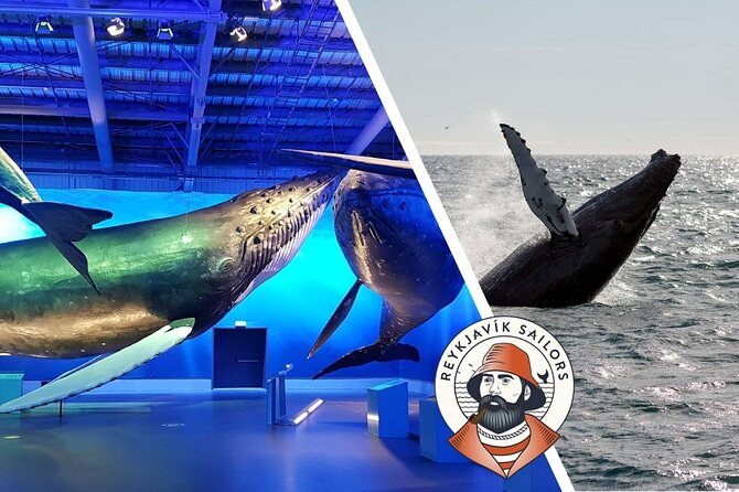 Deluxe Whale Watching and Whales of Iceland Exhibition Combo from Reykjavik - Returning to Whales of Iceland