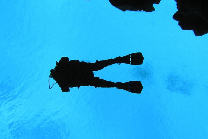 Dive the Divide: Silfra Fissure Scuba Tour | Meet at Thingvellir - Meeting at Thingvellir National Park