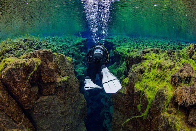 Dive the Divide: Silfra Fissure Scuba Tour | Reykjavik Pickup - Preparing for 2 to 3 degree water
