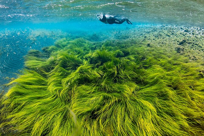 Double Snorkeling Adventure near Húsavík in North Iceland - Key points about the two North Iceland snorkels