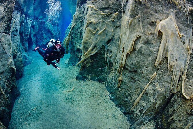 Double Snorkeling Adventure near Húsavík in North Iceland - The comfort break that makes a difference