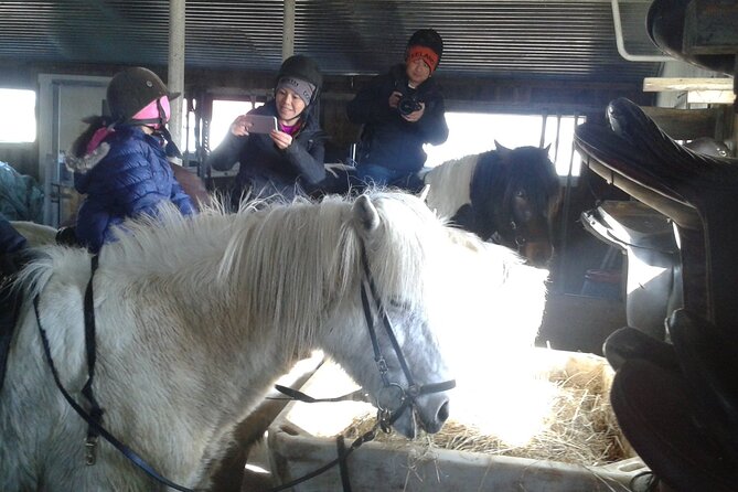 Family Horse Riding Tour in Thorlakshofn - Key points to know before you saddle up