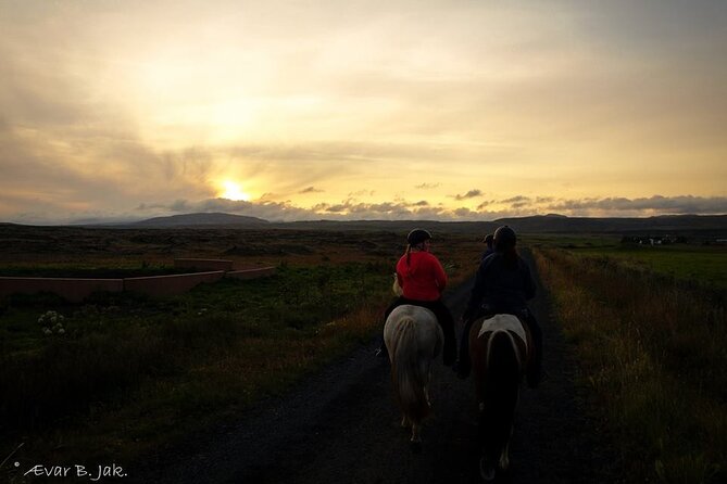 Family Horse Riding Tour in Thorlakshofn - Riding Icelandic horses from Þorlákshöfn