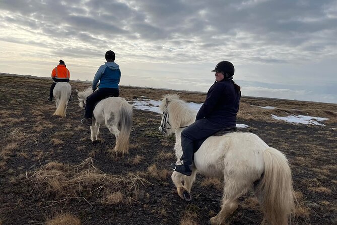 Family Horse Riding Tour in Thorlakshofn - Getting to the stable and checking pickup