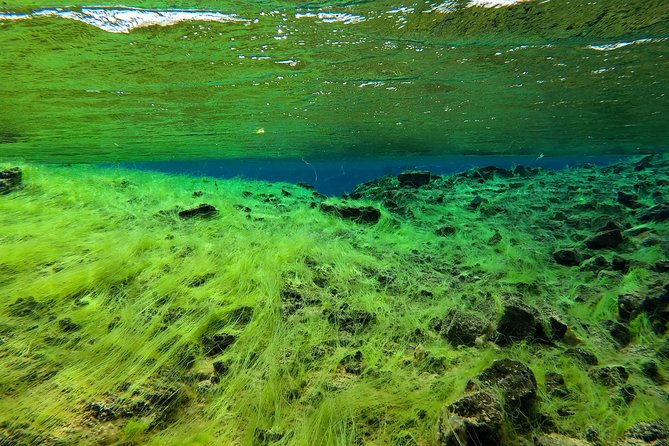 Freedive Silfra Half Day Tour - Silfra’s rare setting between two tectonic plates