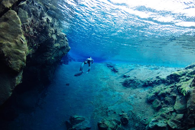Freedive Silfra Half Day Tour - Entering Silfra and moving through the clear water