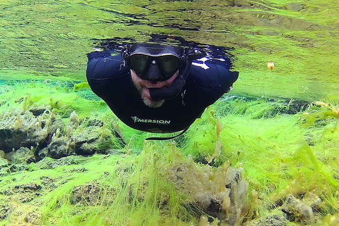 Freedive Silfra Half Day Tour - What $233.50 buys you