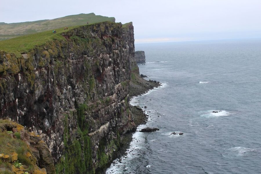 From Reykjavík: 3-Day Tour of the Wild Westfjords - Should you book the Wild Westfjords tour?
