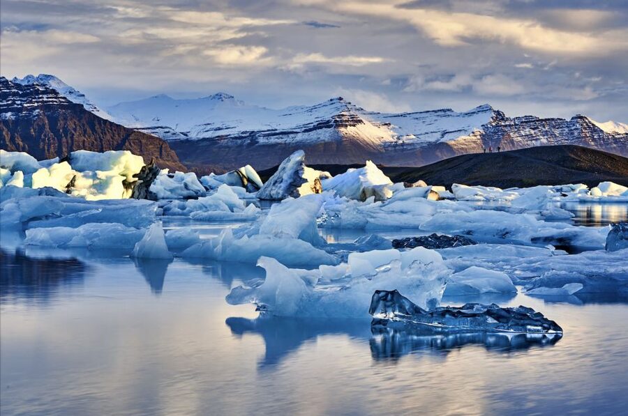 From Reykjavik: 6-Day Small Group Tour of Iceland - Day 6: Eyjafjörður, local farming, and whales