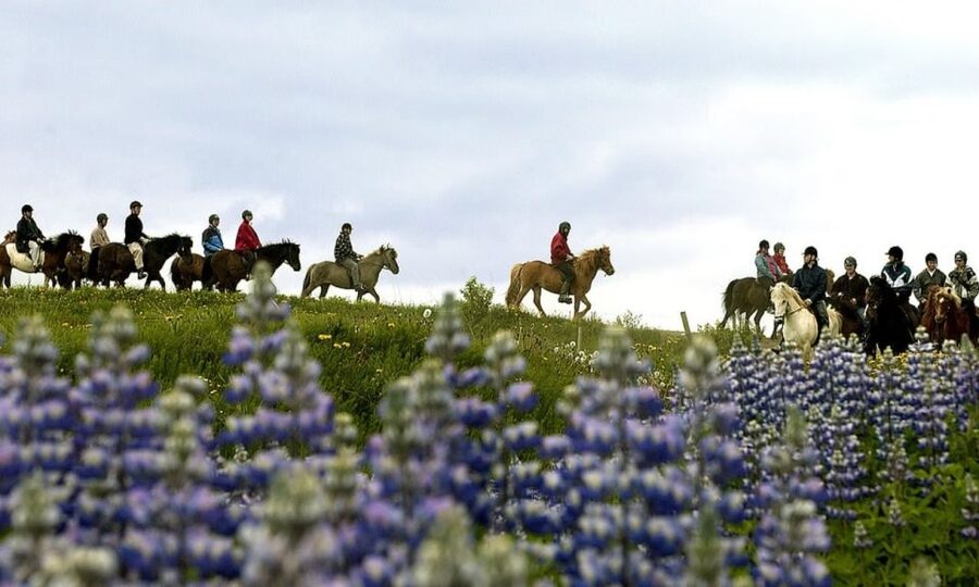 From Reykjavík: Full-day Golden Circle & Horse Riding Tour - Geysir and the rhythm of an erupting hot spring