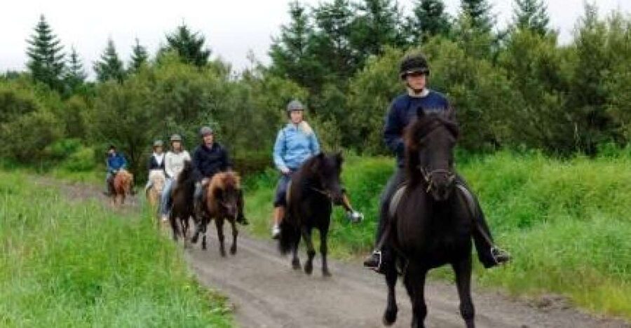 From Reykjavik: Full-Day Horse Riding & Golden Circle Tour - Þingvellir, Where Geology Meets Icelandic History