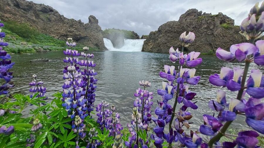 From Reykjavik: Highlands Jeep Tour & Landmannalaugar Hike - Hjálparfoss marks the edge of the highlands