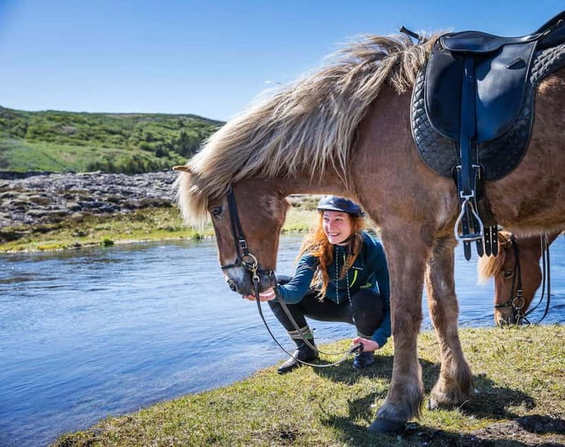 From Reykjavík: Icelandic Horse Riding Tour in Lava Fields - Key points to know before you book