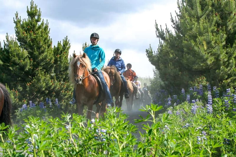 From Reykjavík: Icelandic Horse Riding Tour in Lava Fields - What happens at Íshestar Stables