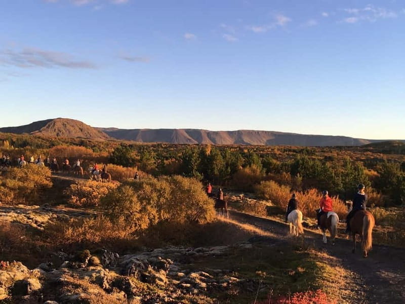 From Reykjavík: Icelandic Horse Riding Tour in Lava Fields - The 1.5-hour ride: lava, hills, and steady horses