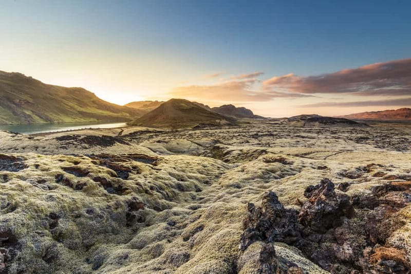 From Reykjavík: Icelandic Horse Riding Tour in Lava Fields - Beginner groups and more confident riders