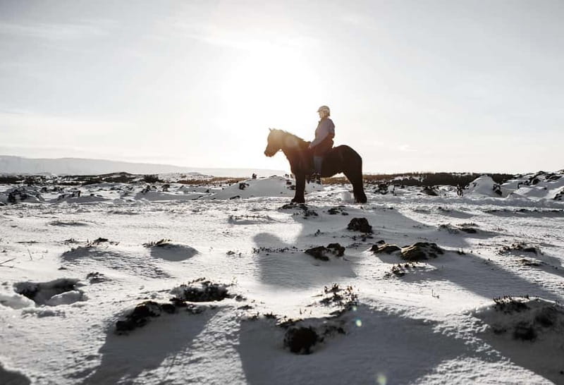 From Reykjavík: Icelandic Horse Riding Tour in Lava Fields - Who should choose this ride?