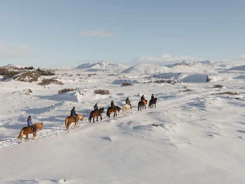 From Reykjavík: Icelandic Horse Riding Tour in Lava Fields - Why the Icelandic horse makes this ride special