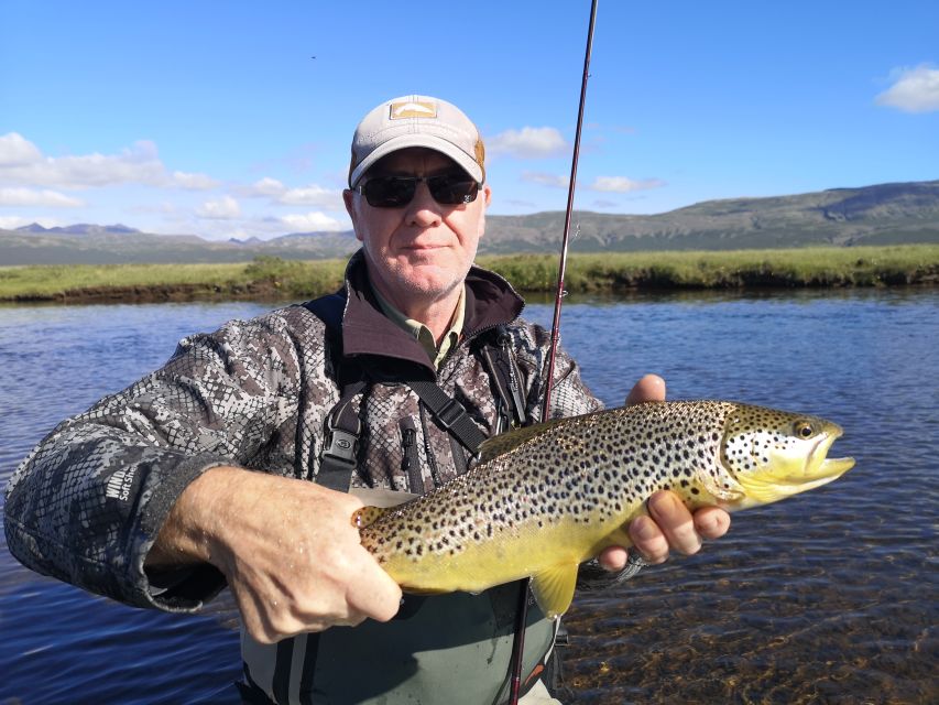 From Reykjavik: Lake and River Fishing Tour - Should you book this Iceland fishing tour?