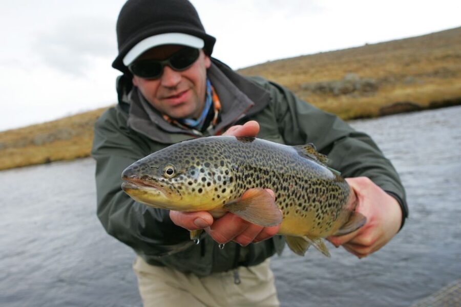 From Reykjavik: Lake and River Fishing Tour - Brown trout and Arctic char in Icelandic water
